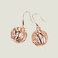 Rose Gold Ear Hooks