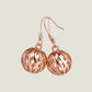 Rose Gold Ear Hooks