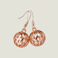 Rose Gold Ear Hooks